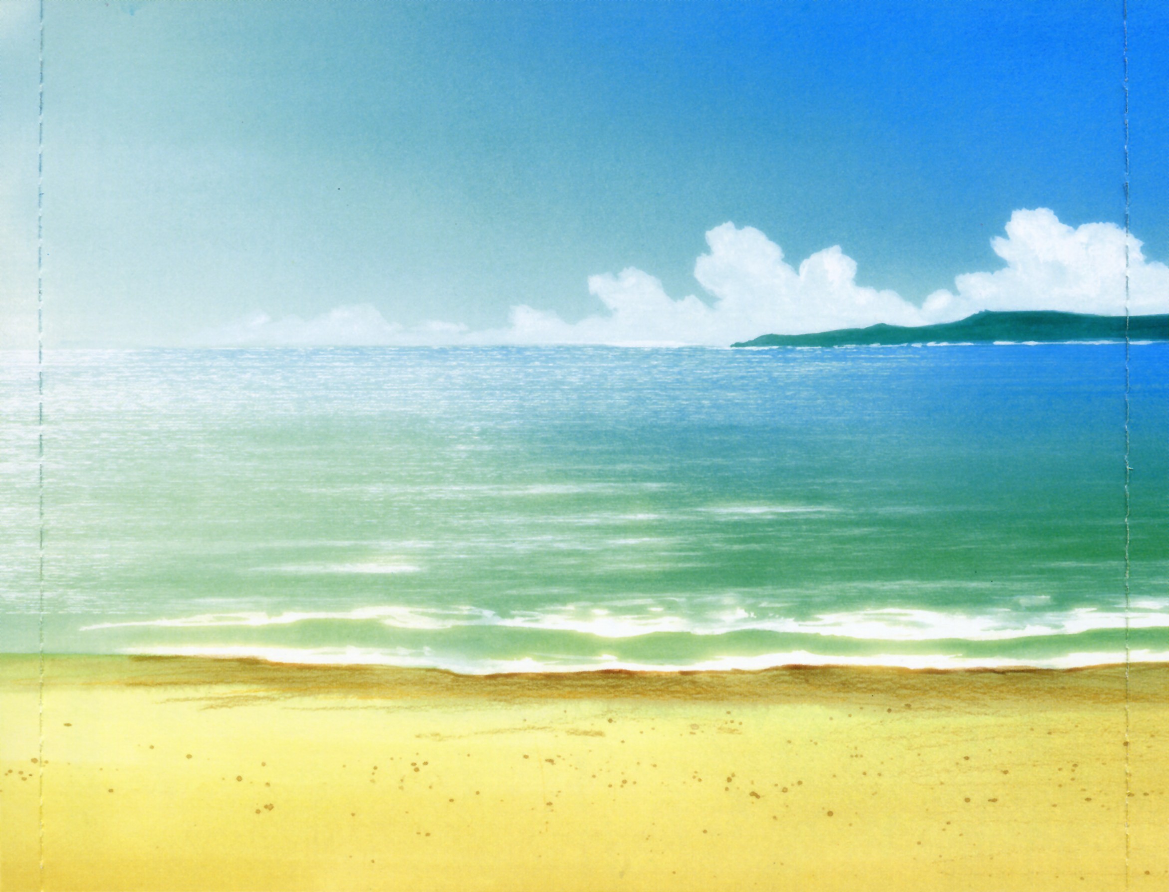 Case Cover Back Inner.jpg